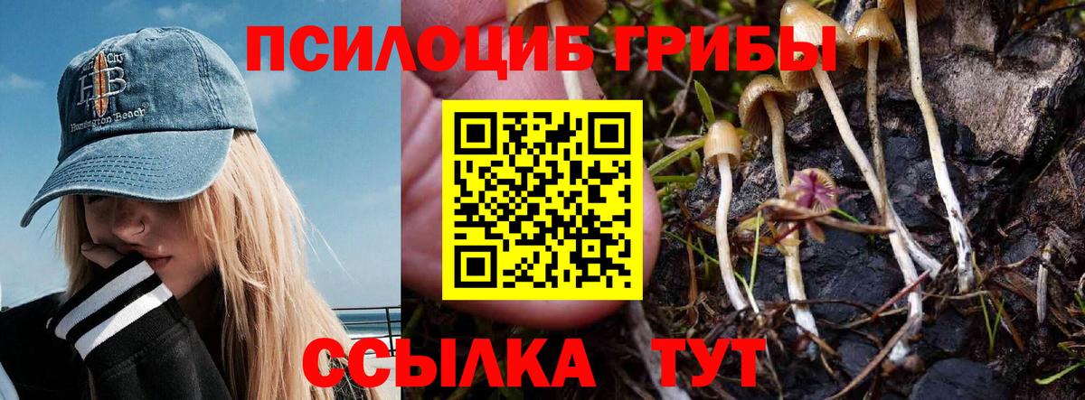 Псилоцибиновые грибы Psilocybine cubensis Минеральные Воды